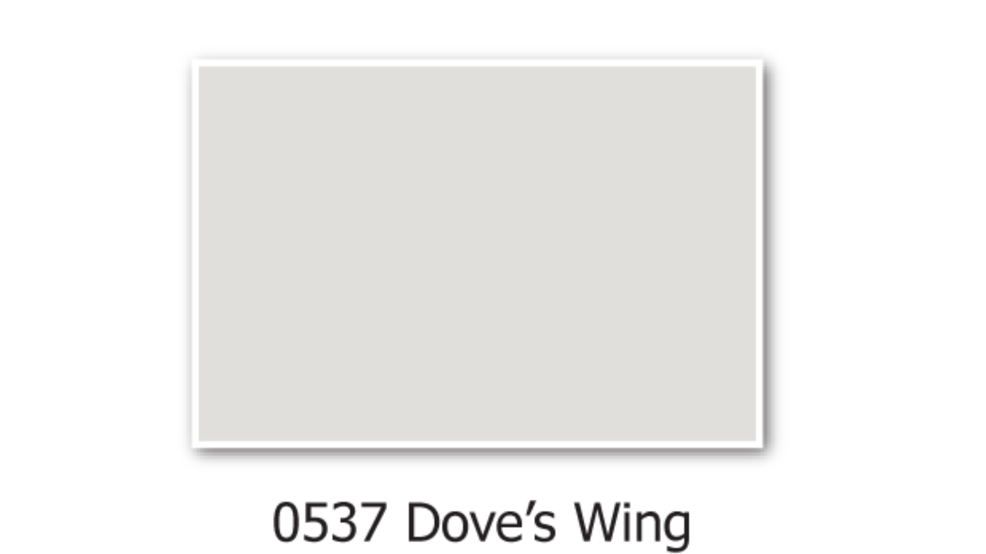 j-What_Kind_of_Color_Is_Dove_Wing