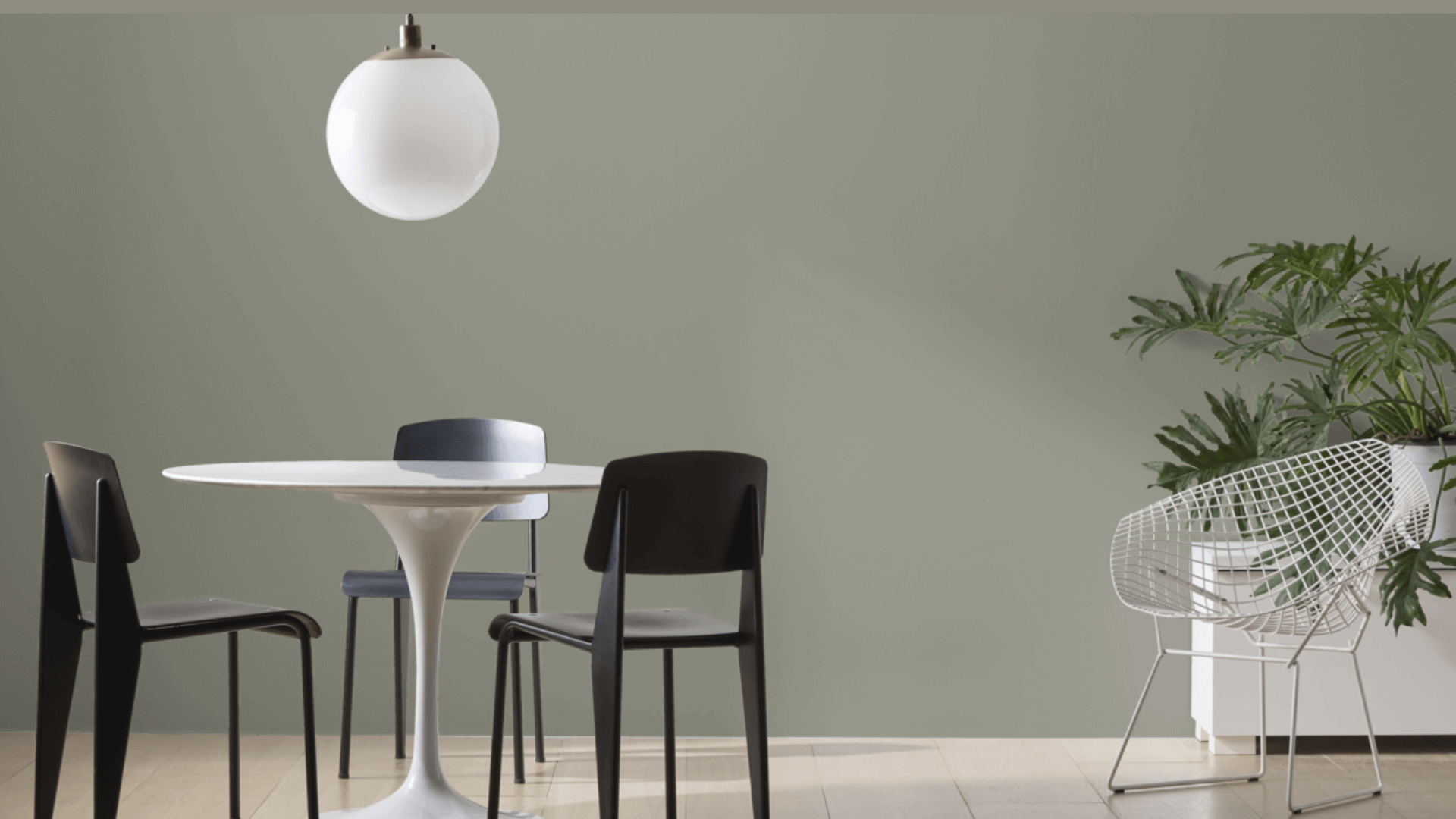 ssLiving_Room_Accent_Wall