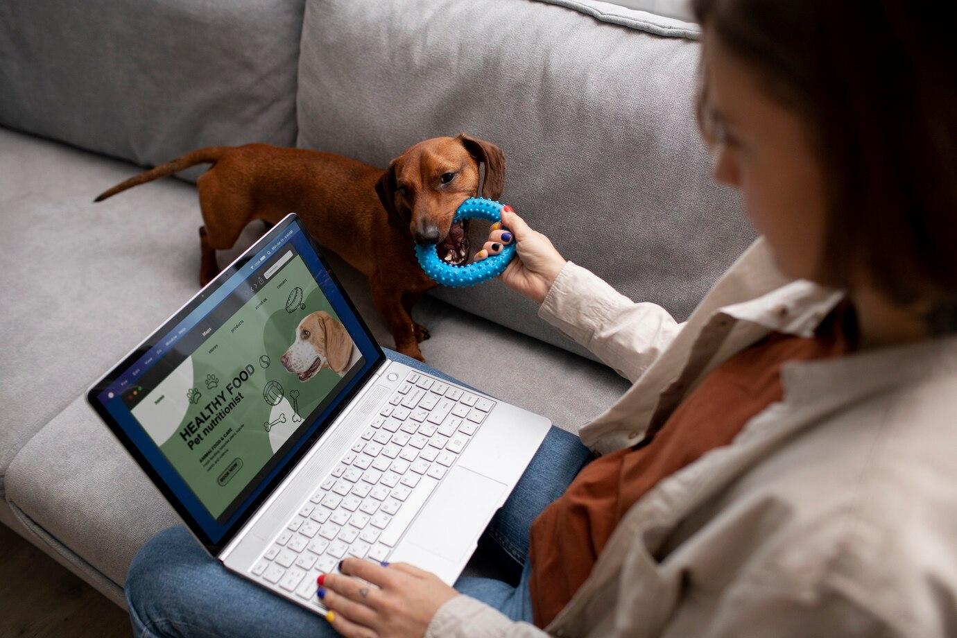Health Trackers: Fitbits for Furballs