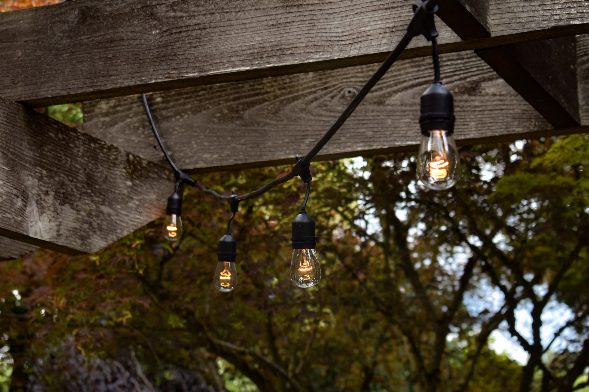 Light Up the Landscape: Outdoor Lighting for Style and Safety