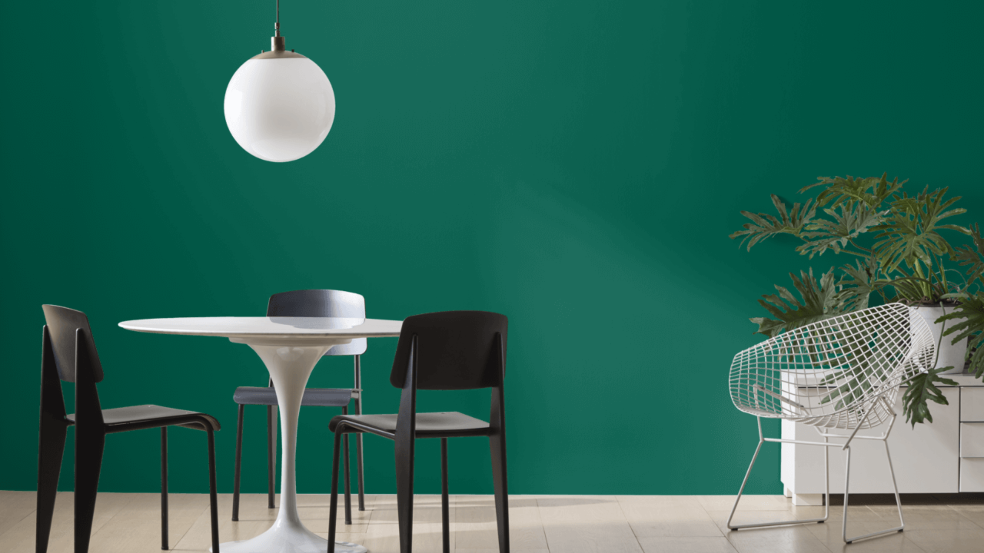 Forest_Green_2047-10