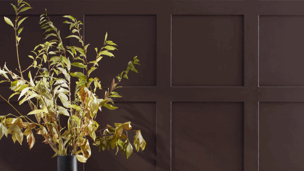 My Honest Review of Benjamin Moore’s Wenge (AF-180)