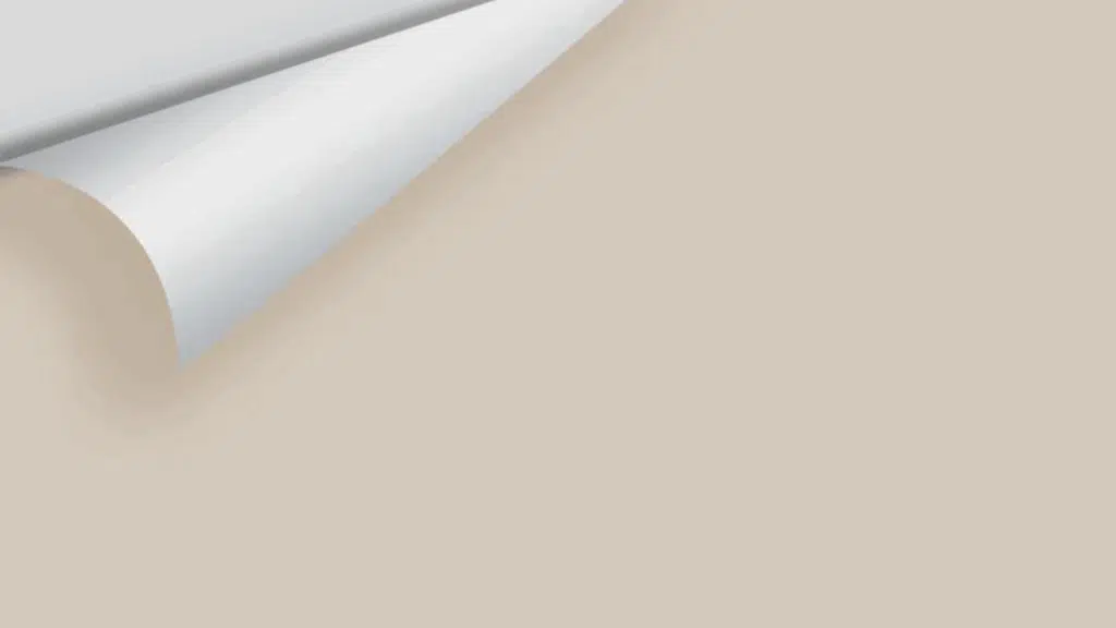 Reviewing Mocha Cream by Benjamin Moore (995)