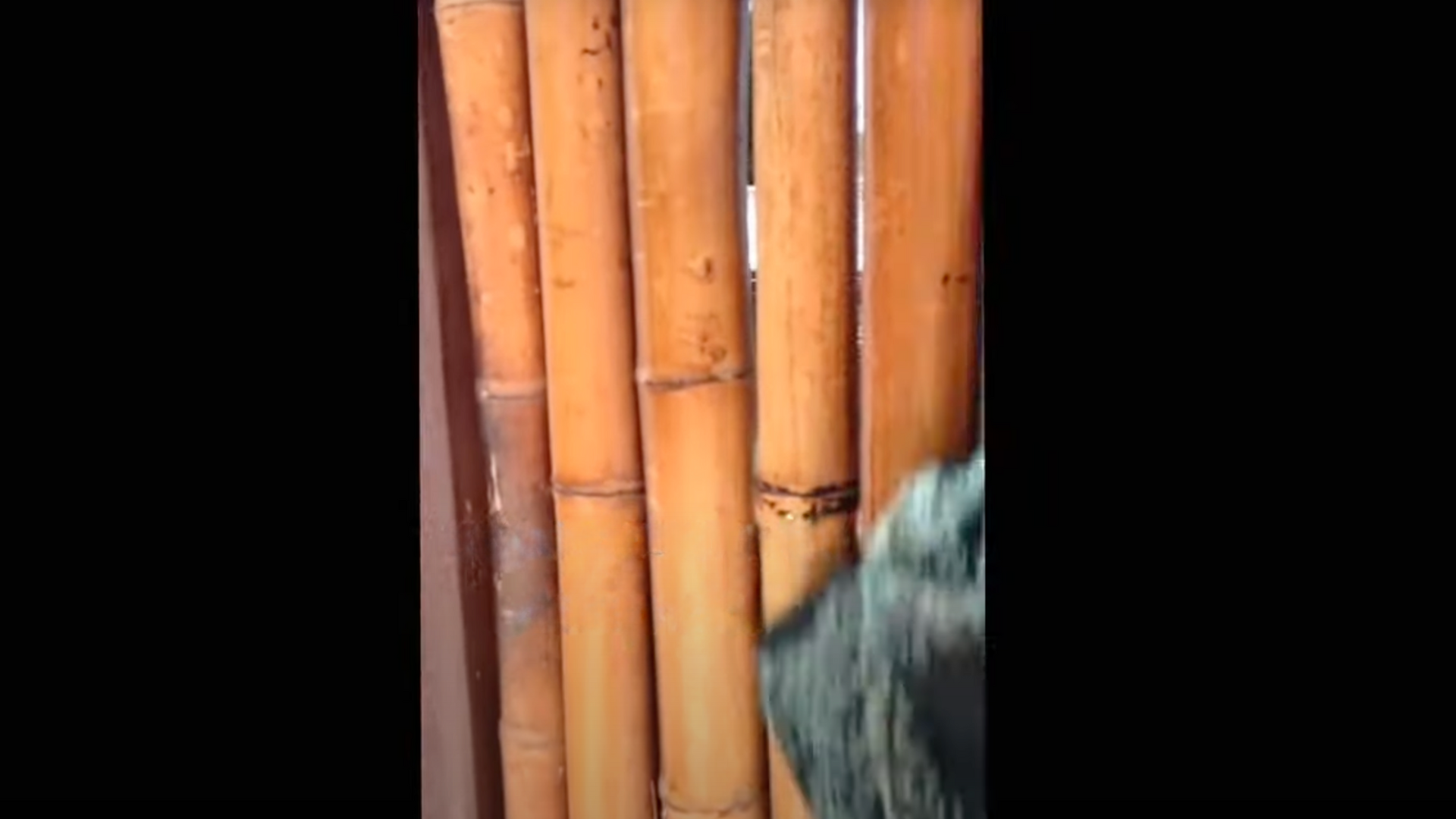 Step_1_Prepare_the_Bamboo_Surface