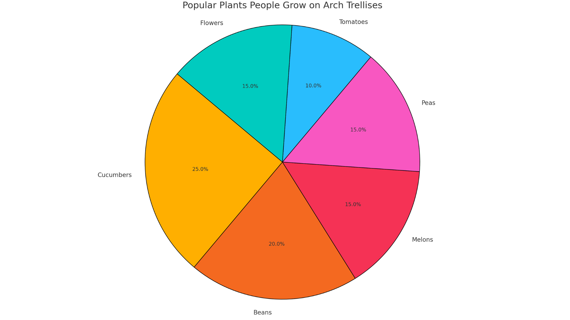 Types_of_Plants_Grown_on_Arch_Trellises
