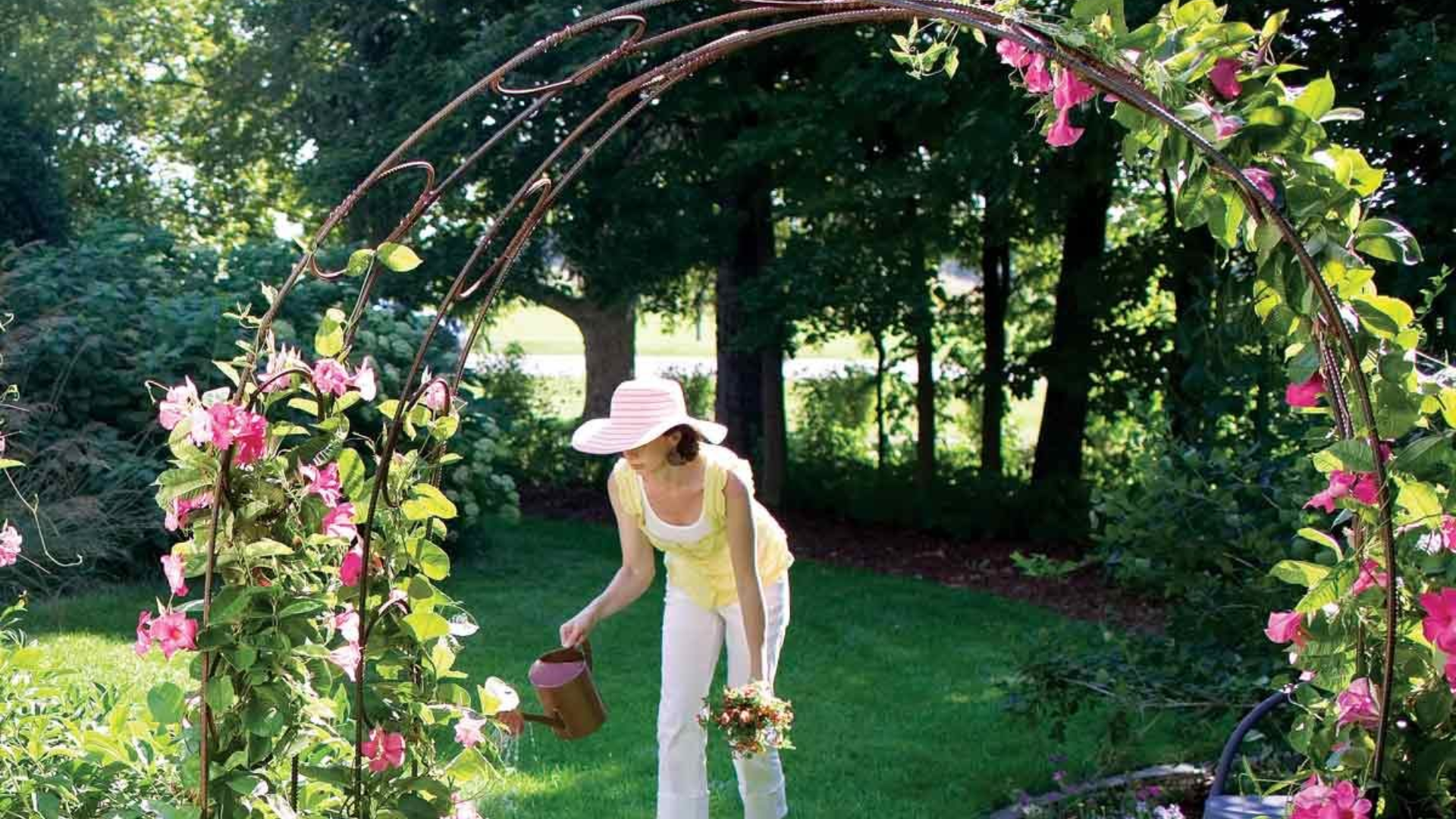What_Is_a_Garden_Arch_Trellis