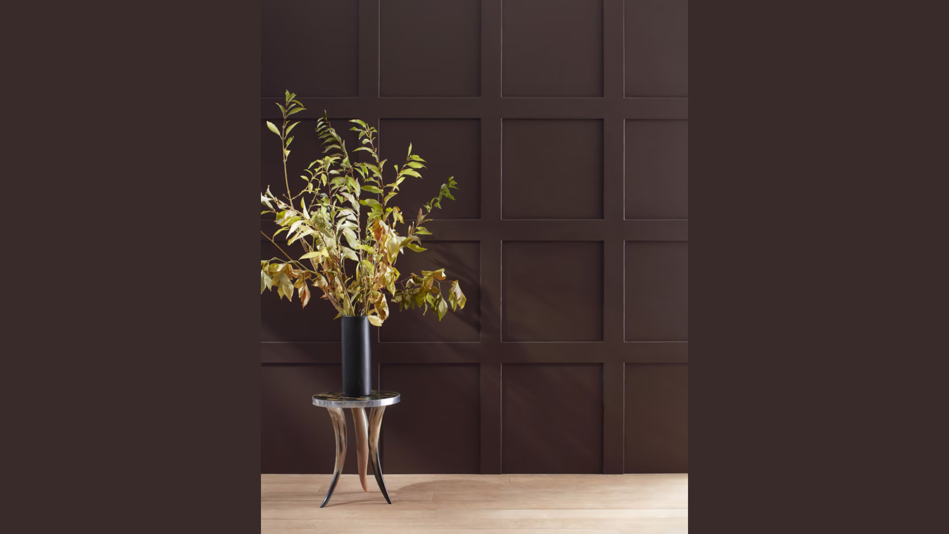 Why_Wenge_Is_an_Ideal_Paint_Color_for_Any_Room
