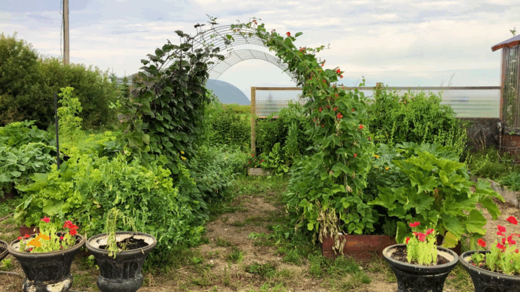diy arch trellis