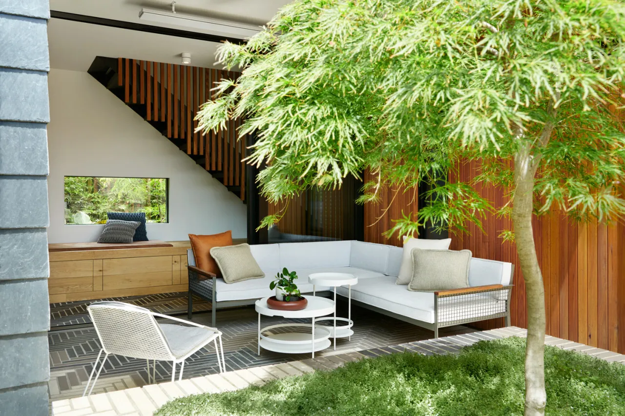 a house interior full of plants