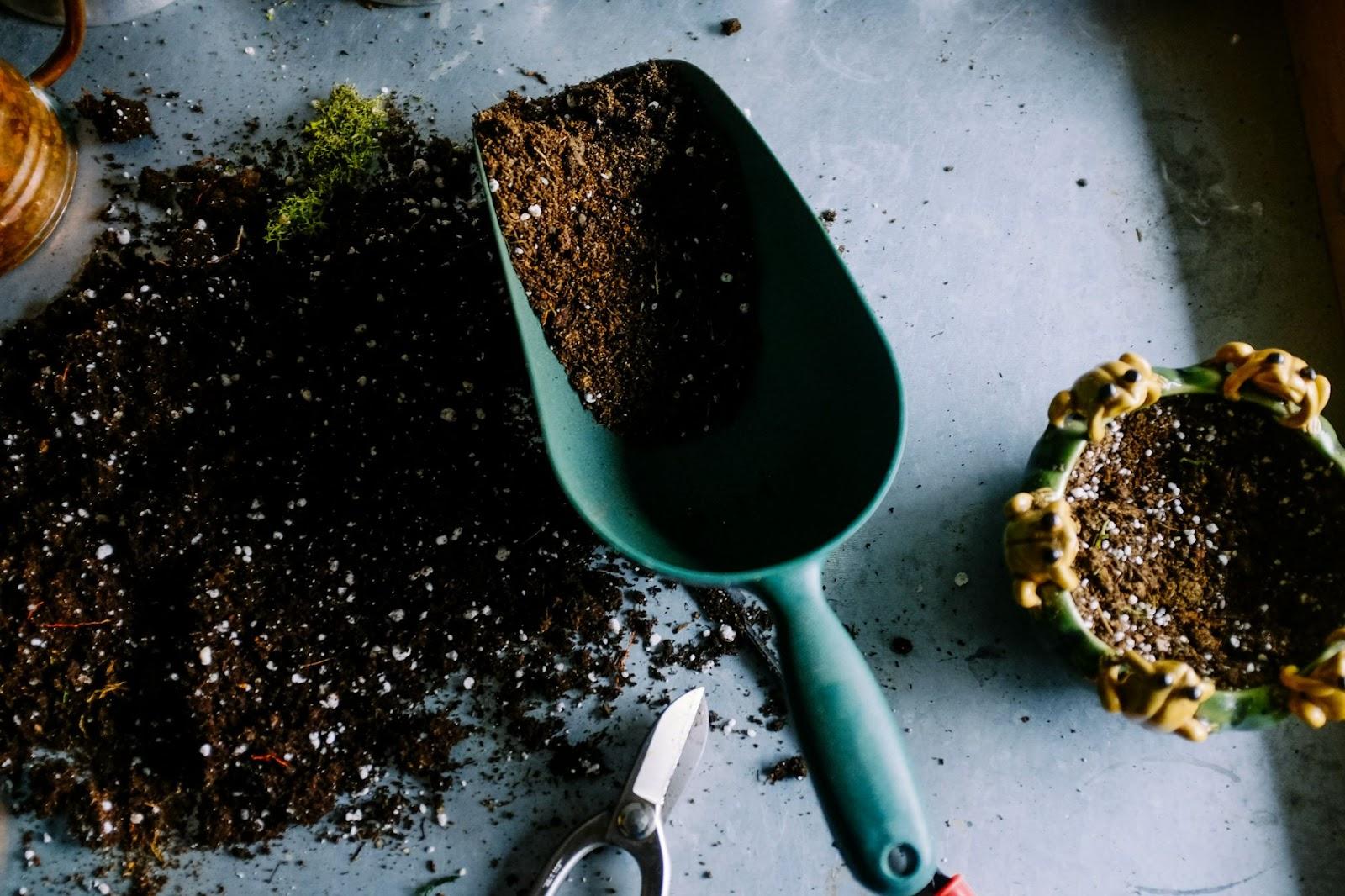 Use the Right Soil Mix