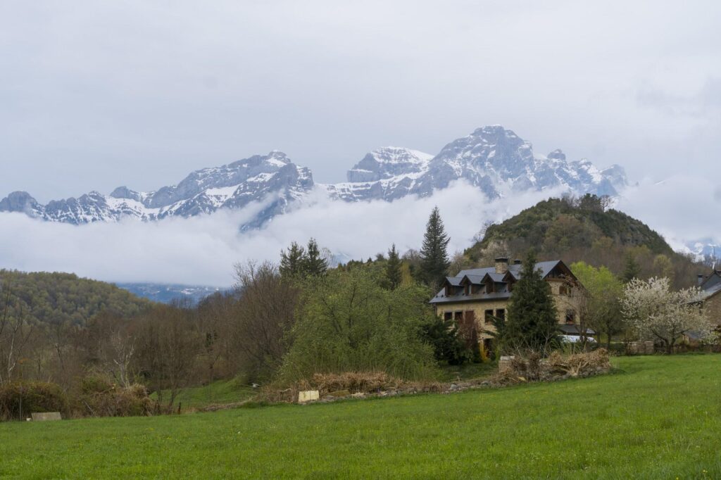 Modern Mountain Living: Insights from Jackson Hole Architects