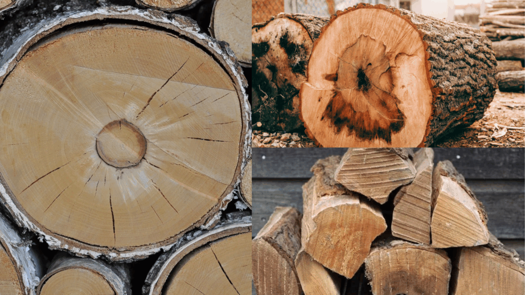 Birch vs. Other Hardwoods