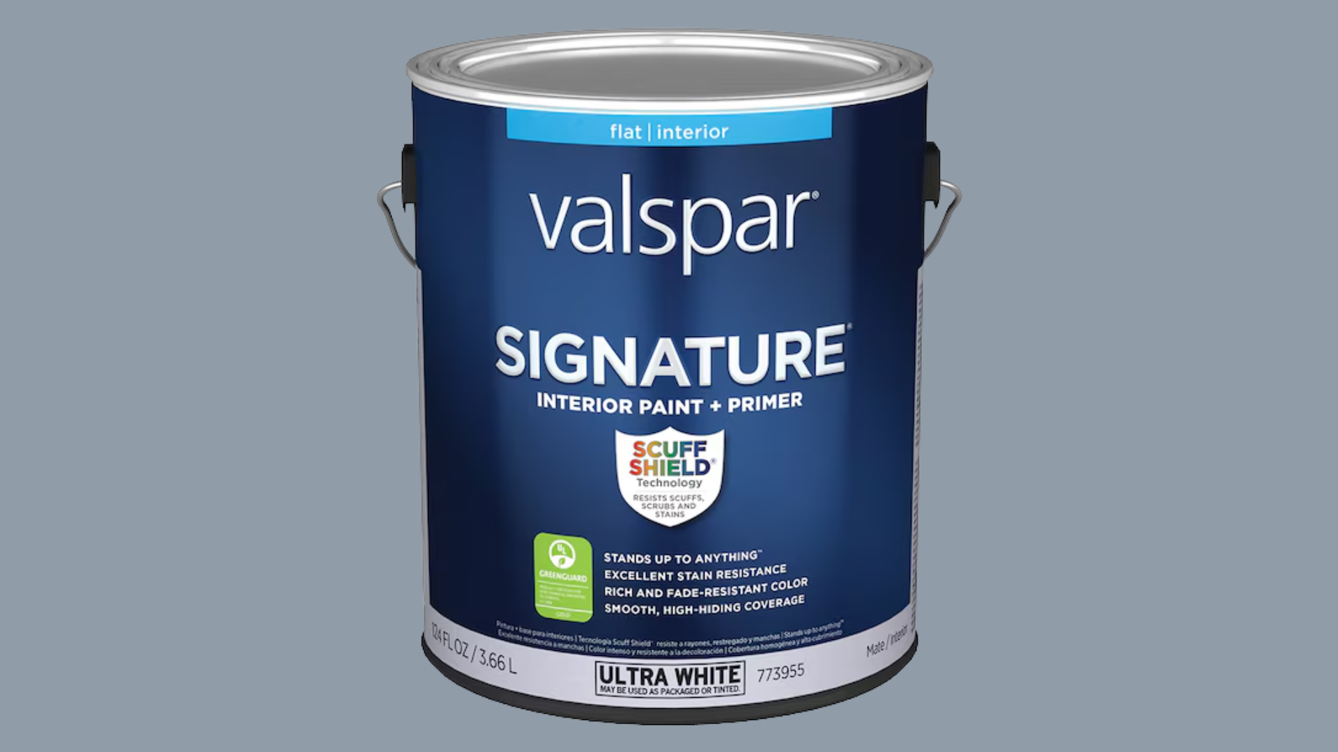 Latex Paint