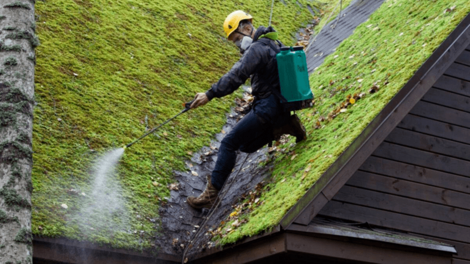 Professional_Cleaning