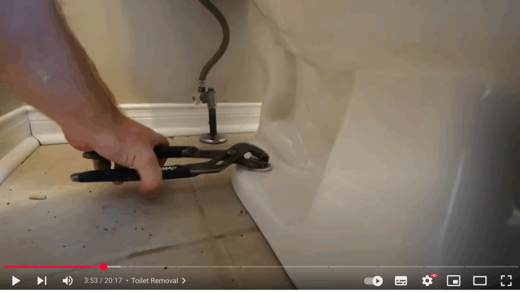 Removing the Toilet