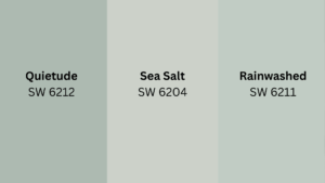 The Perfect Calm Green: Quietude Sherwin Williams (SW 6212) - Opple House