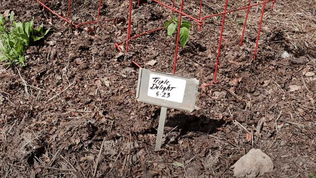 Step 3- Place the Marker Securely in the Ground