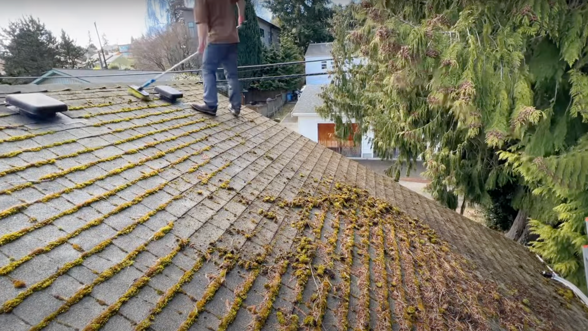Step_2_Gently_Brush_Off_Moss