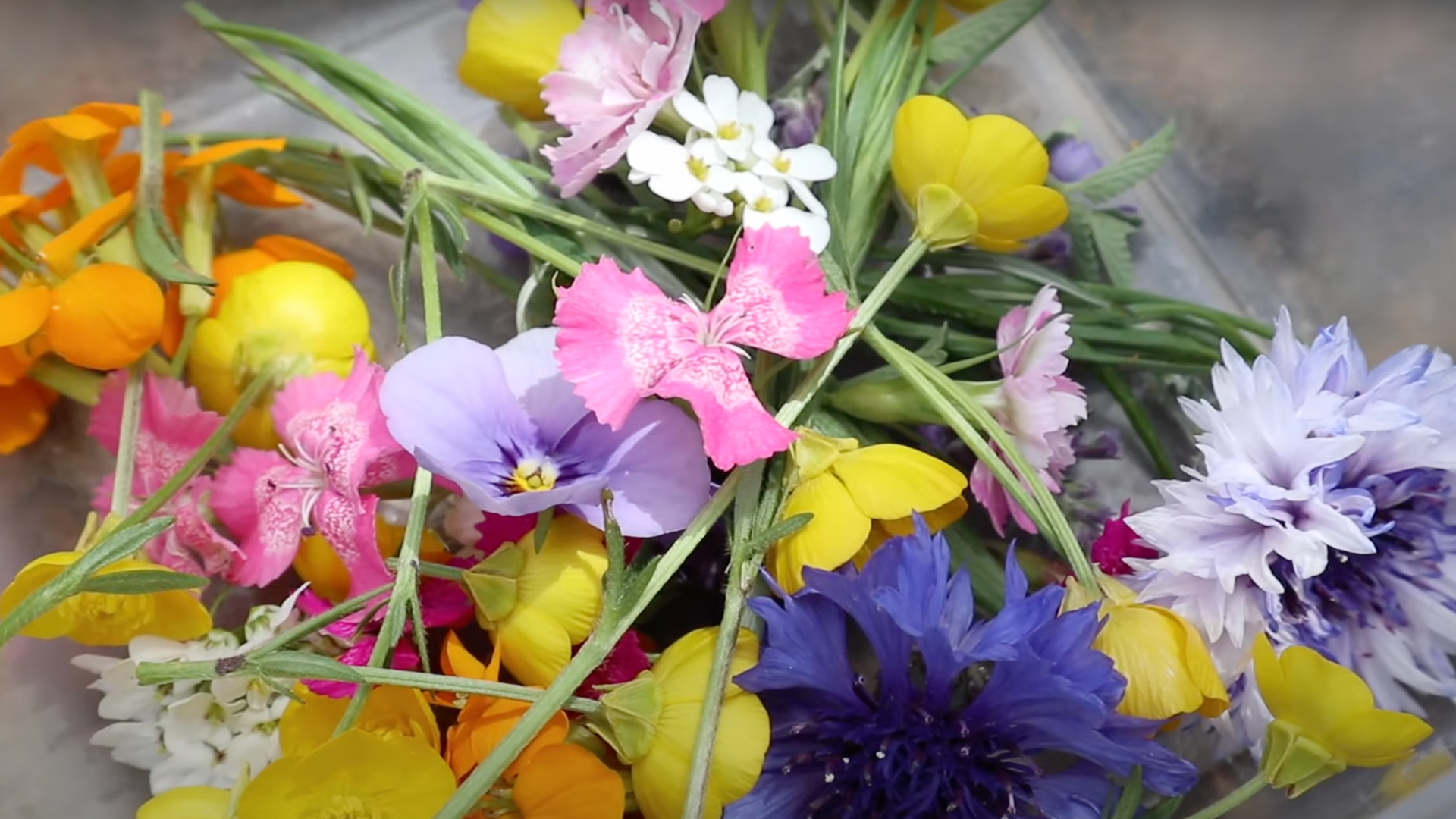 Step 6: Pick the Right Flowers