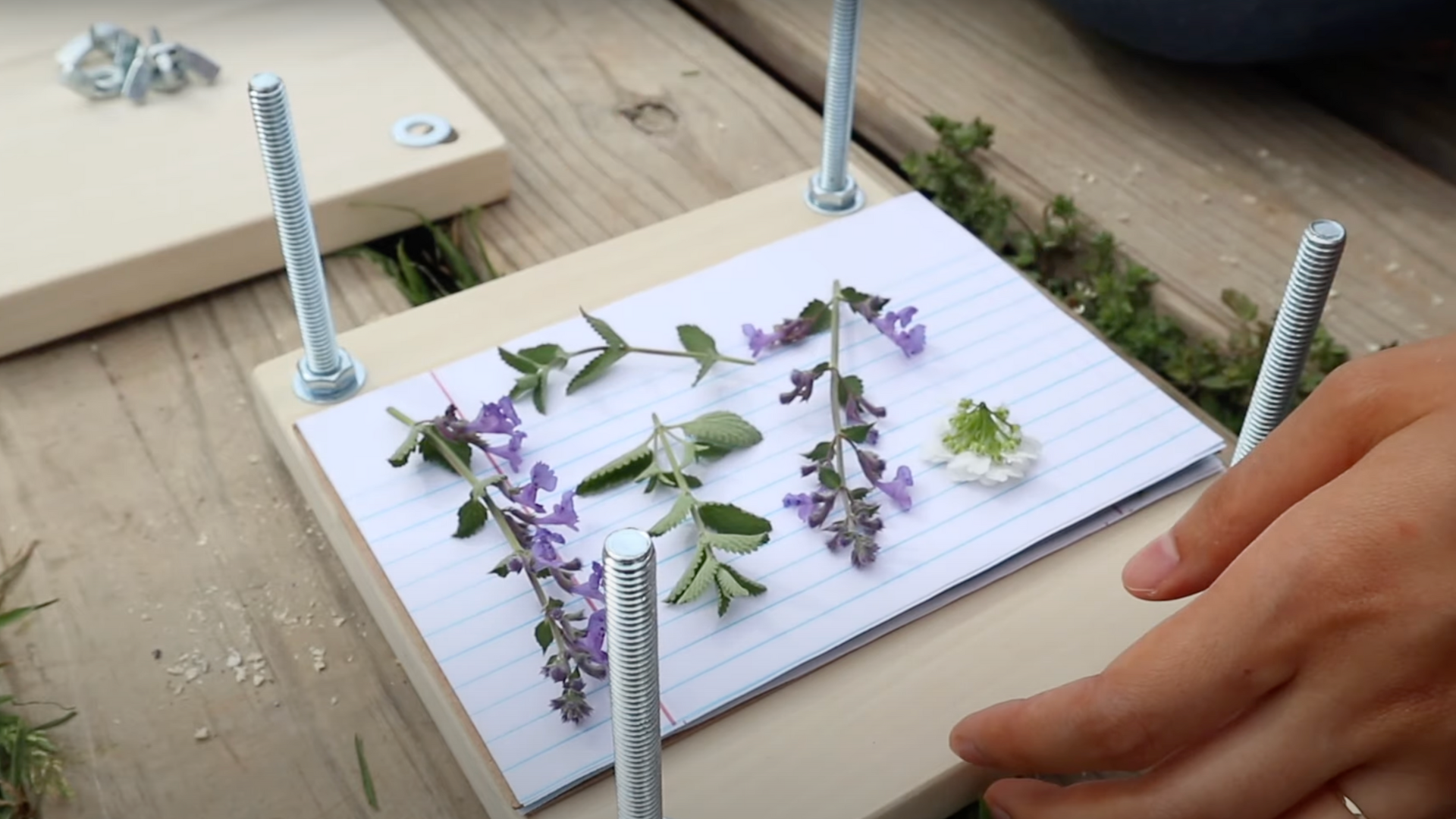 Step 7: Start Layering Flowers in the Press