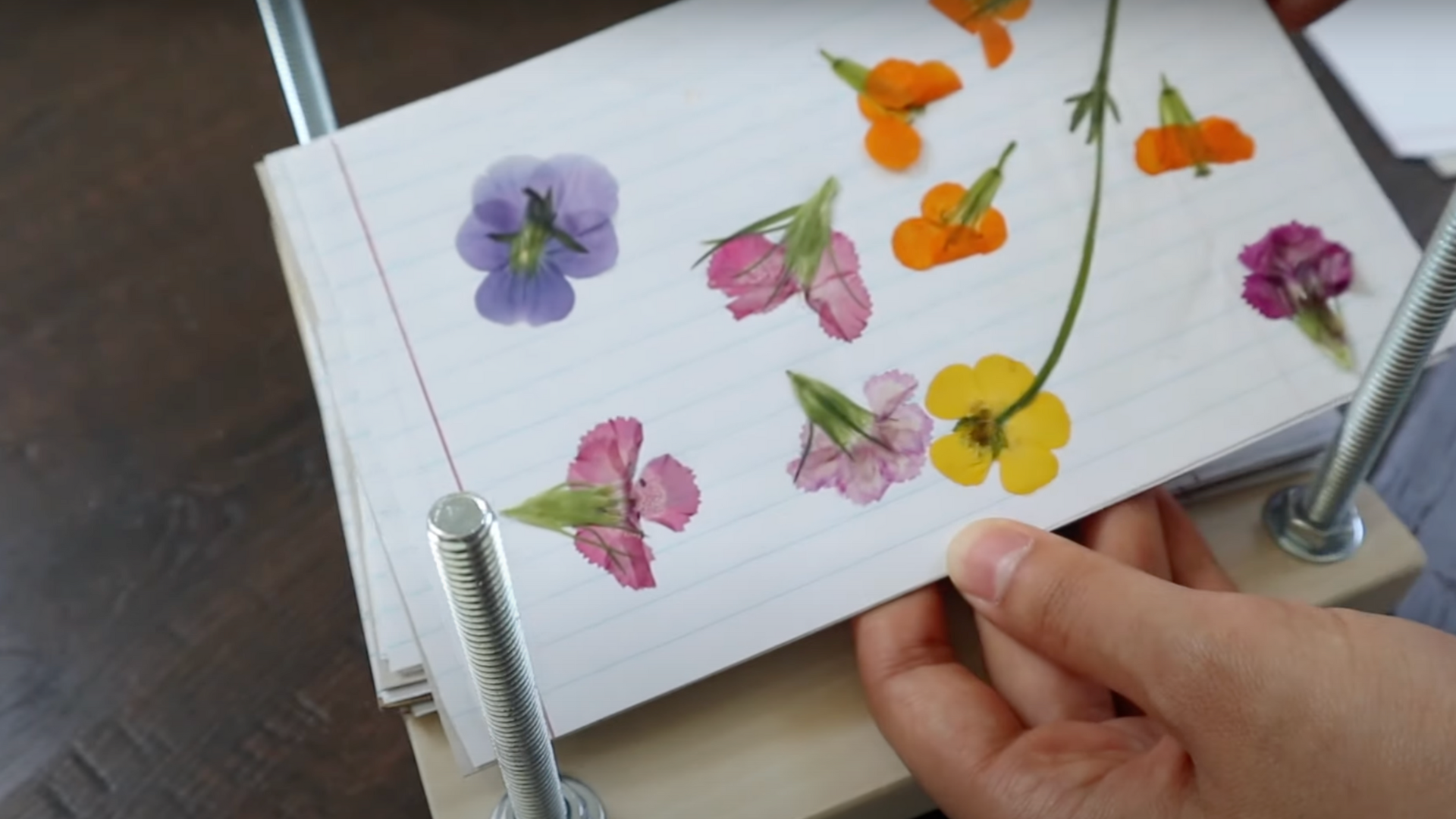 Step 9: Let the Flowers Dry