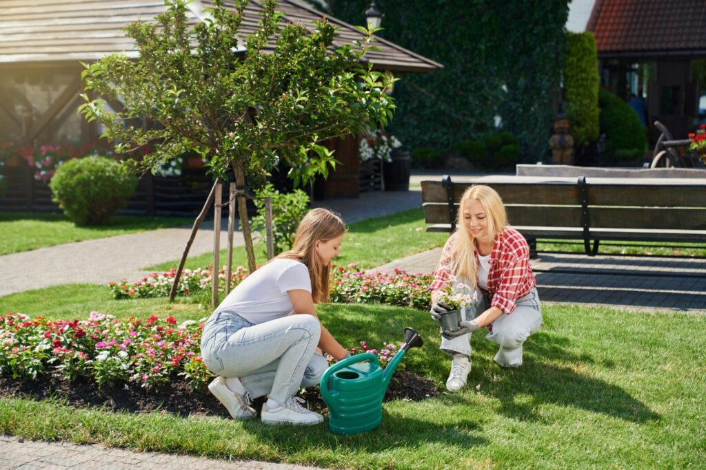 Sustainable Lawn Solutions to Transform Your Home