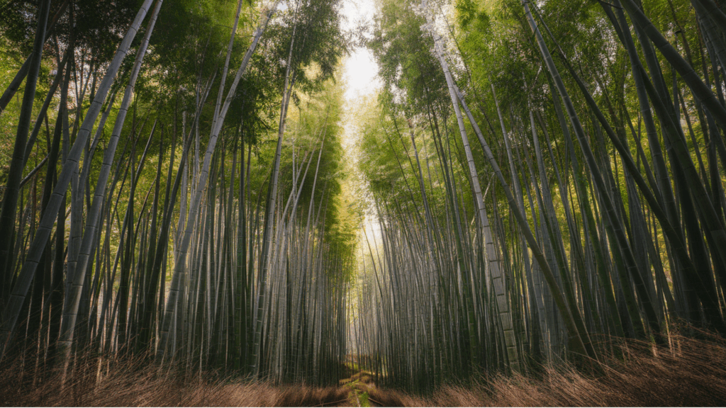 Sustainable Uses of Bamboo for Home and Garden