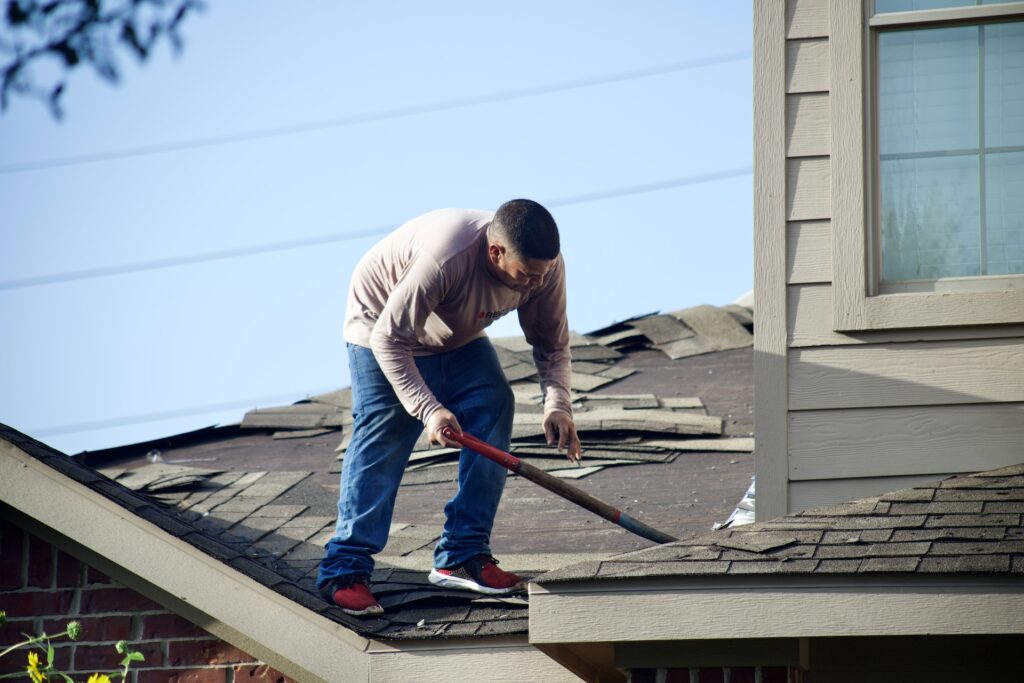 The Hidden Connection Between Poor Roofing and Pest Infestations
