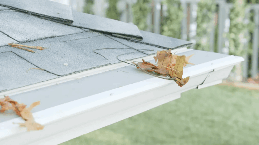 What Is LeafFilter?