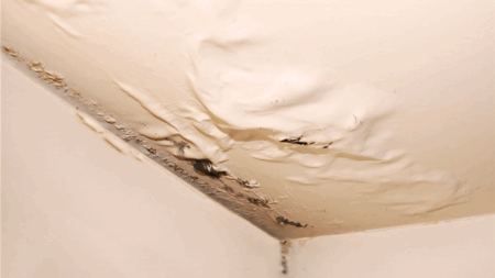 17 Common Signs of a Leaking Roof You Shouldn't Ignore - Opple House