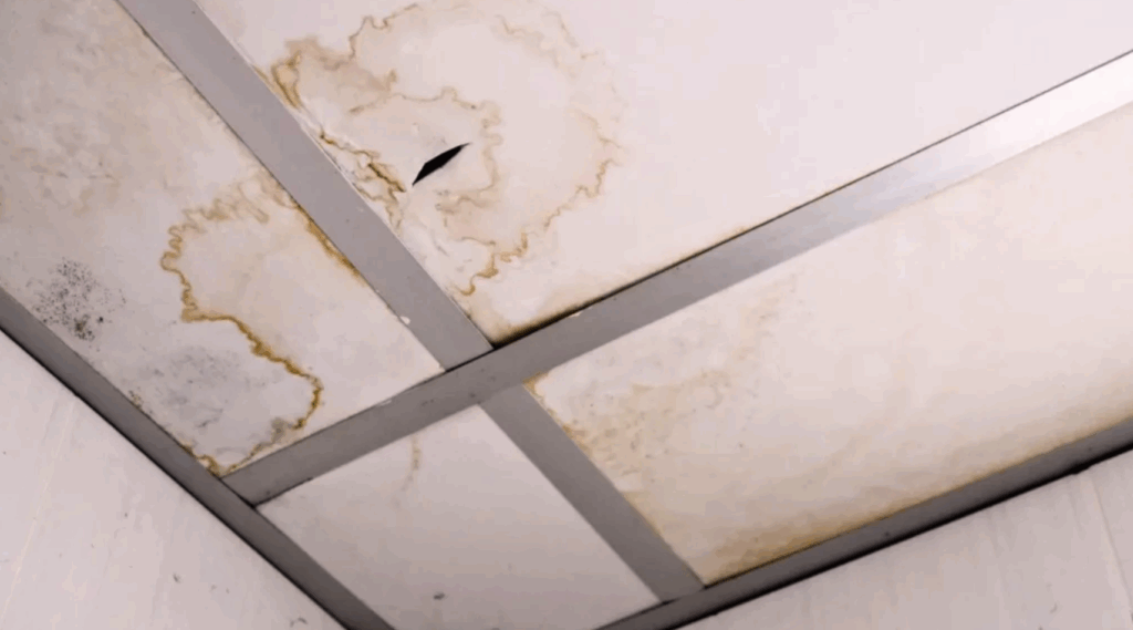 signs of leaking roof