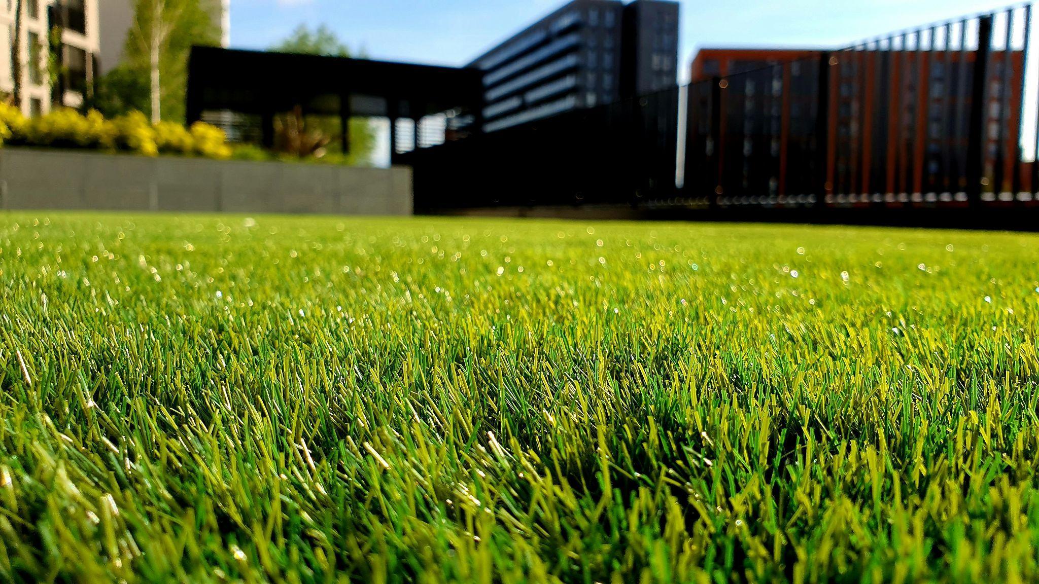 Summer Lawn Care Tips