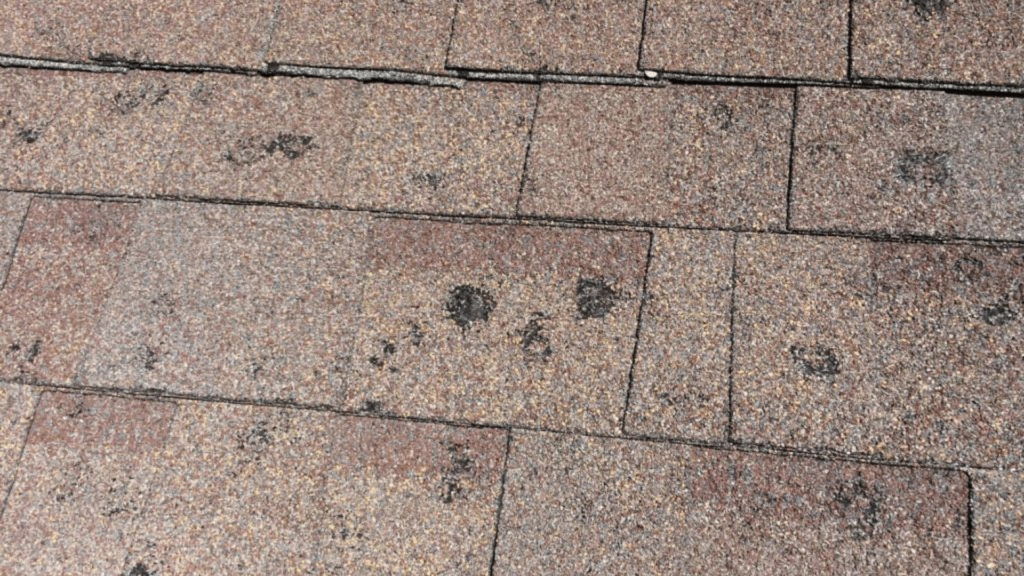 Asphalt Shingles