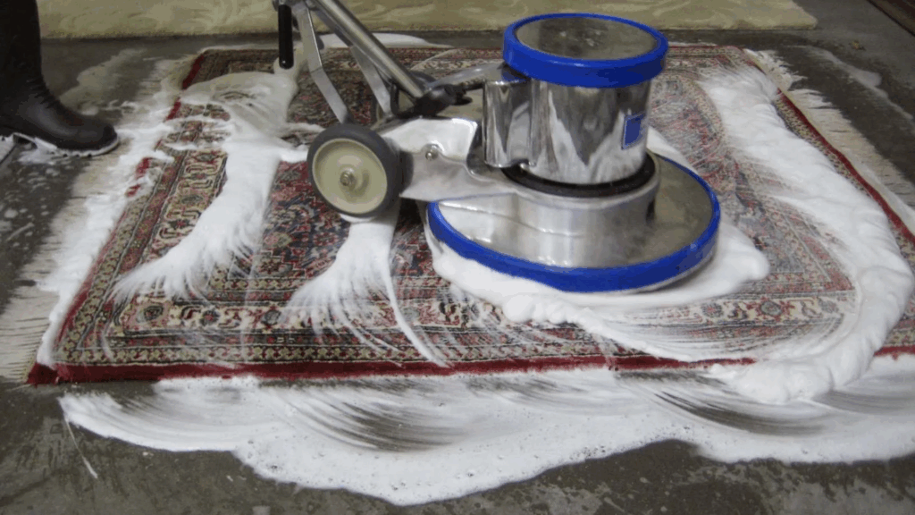 Carpet+Shampooing