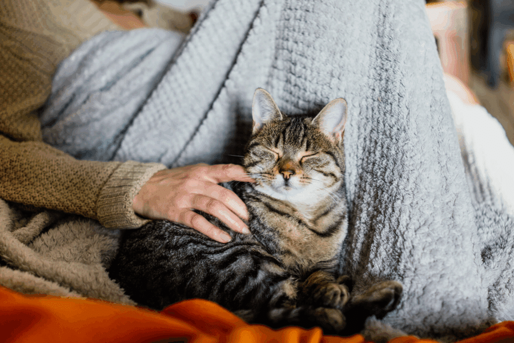 Emotional Support Animals and Housing Rights