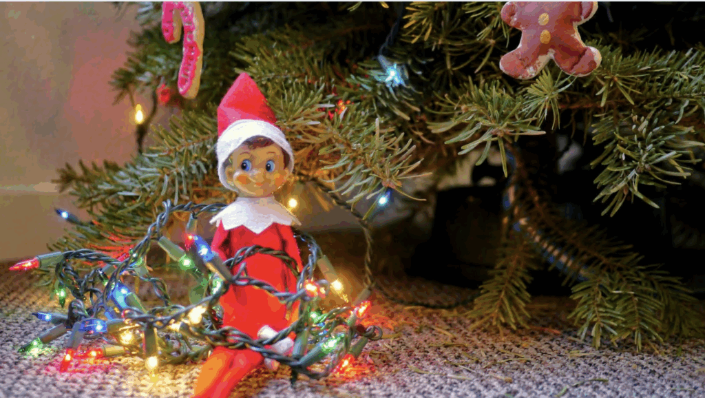Elf Wrapped in Christmas Lights