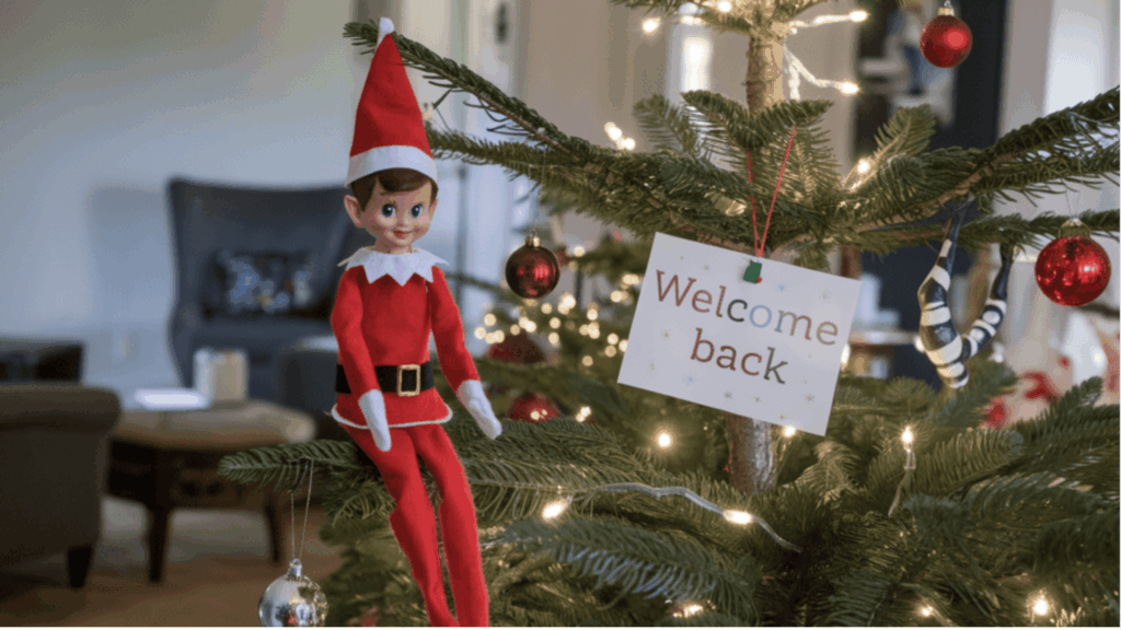 Elf on a Christmas Tree Branch