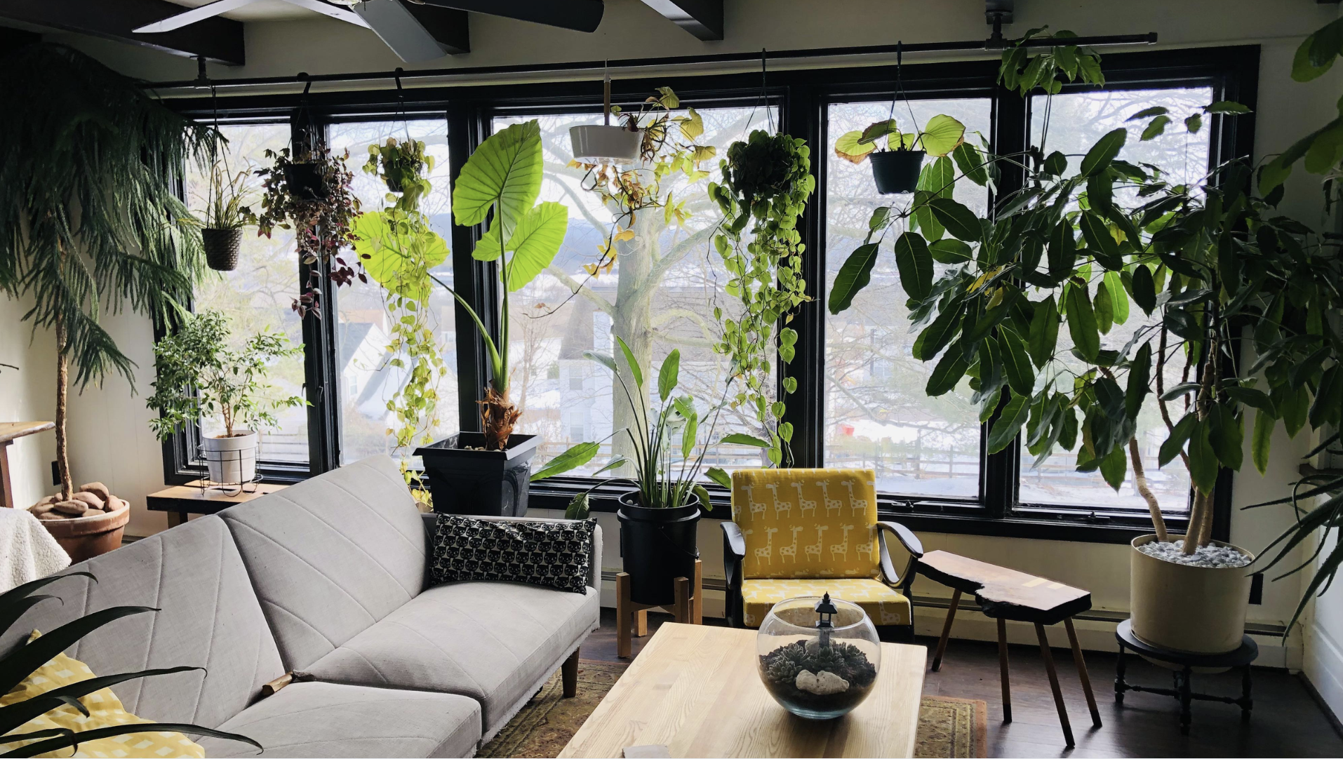 Outdoor Elements Inside