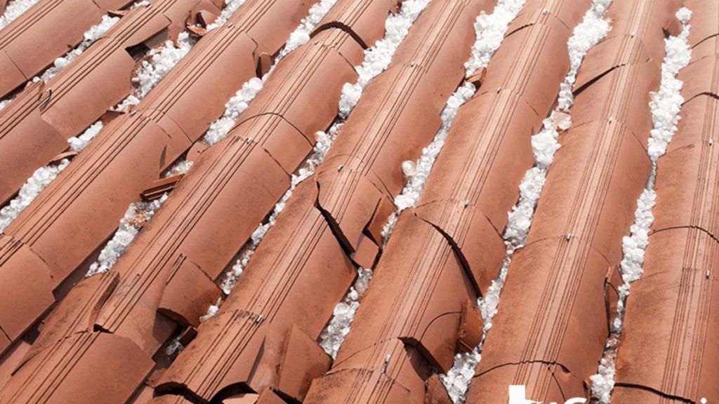 Slate and Clay Tiles