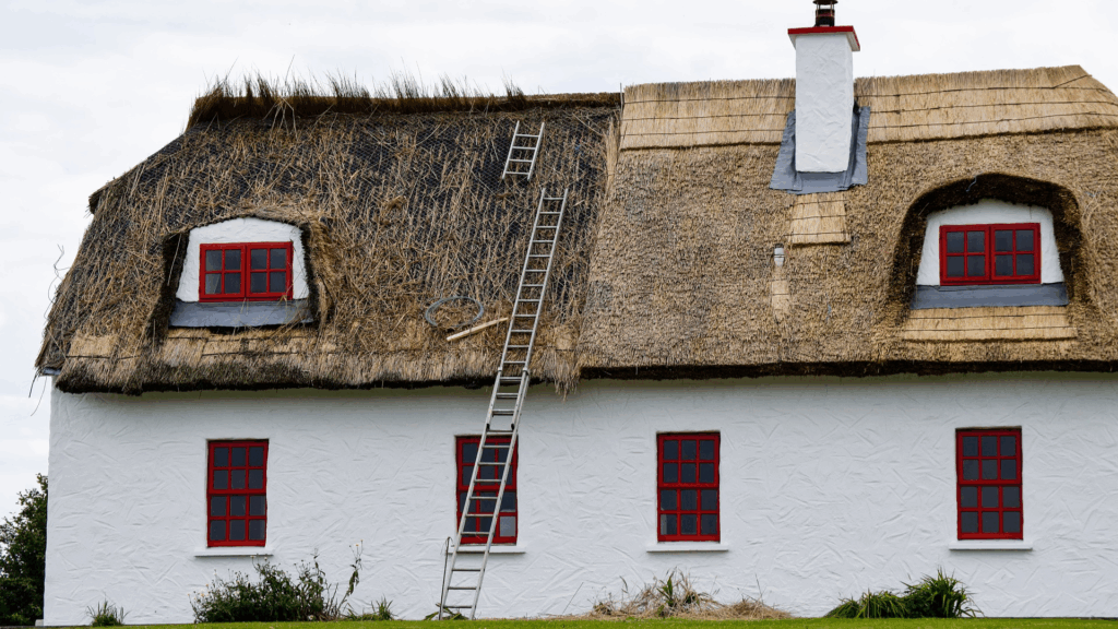 Thatch Roofing