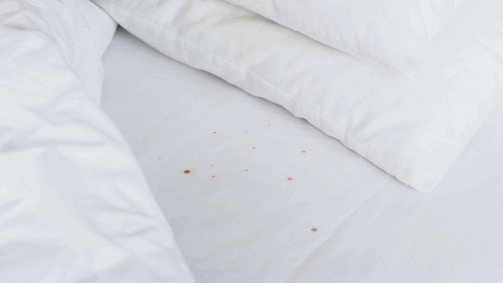 What Bed Bug Stains Look Like on Sheets