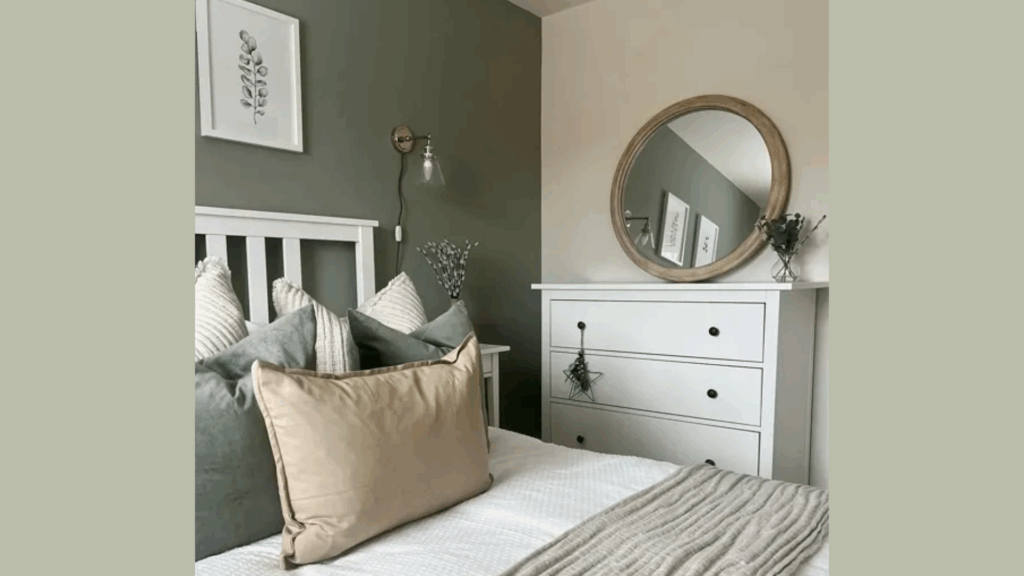 farrow and ball pigeon (3)