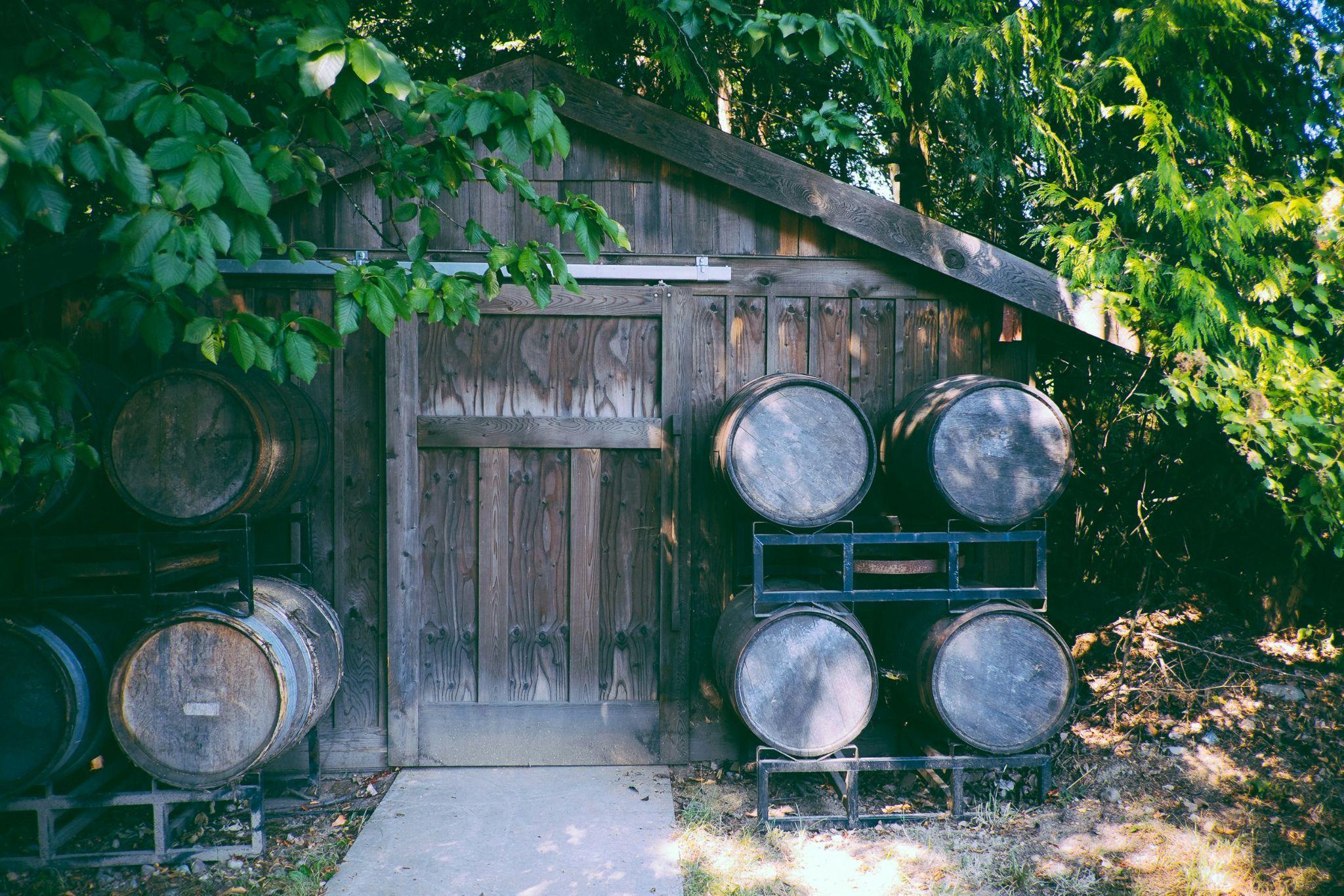 Storage Solutions for Small Parts