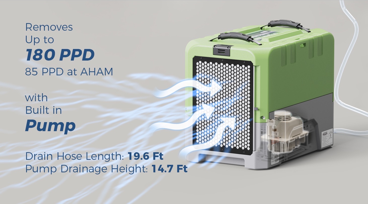 Dehumidify
