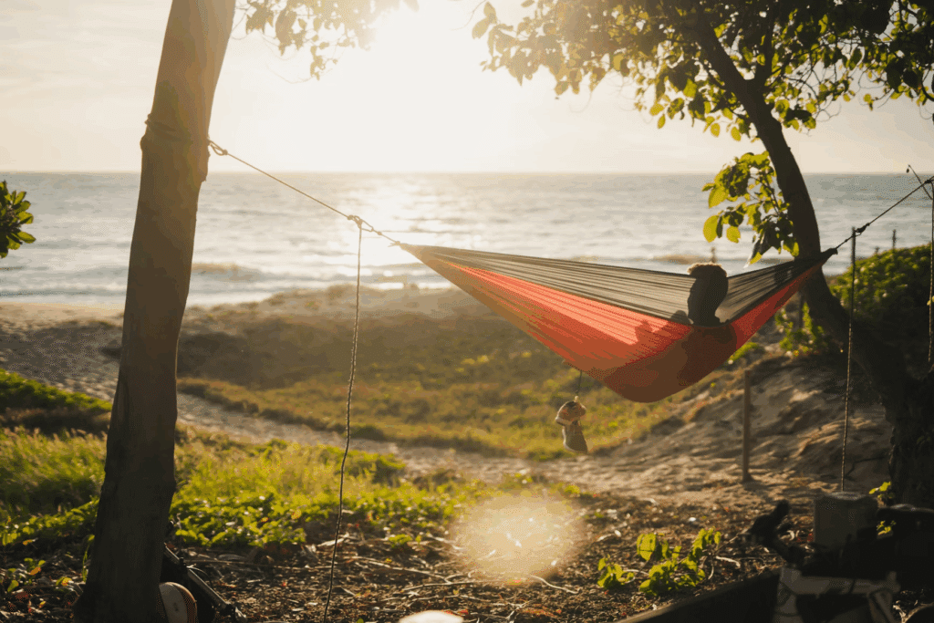 Best Ways to Relax and Enjoy Your Free Time in 2025