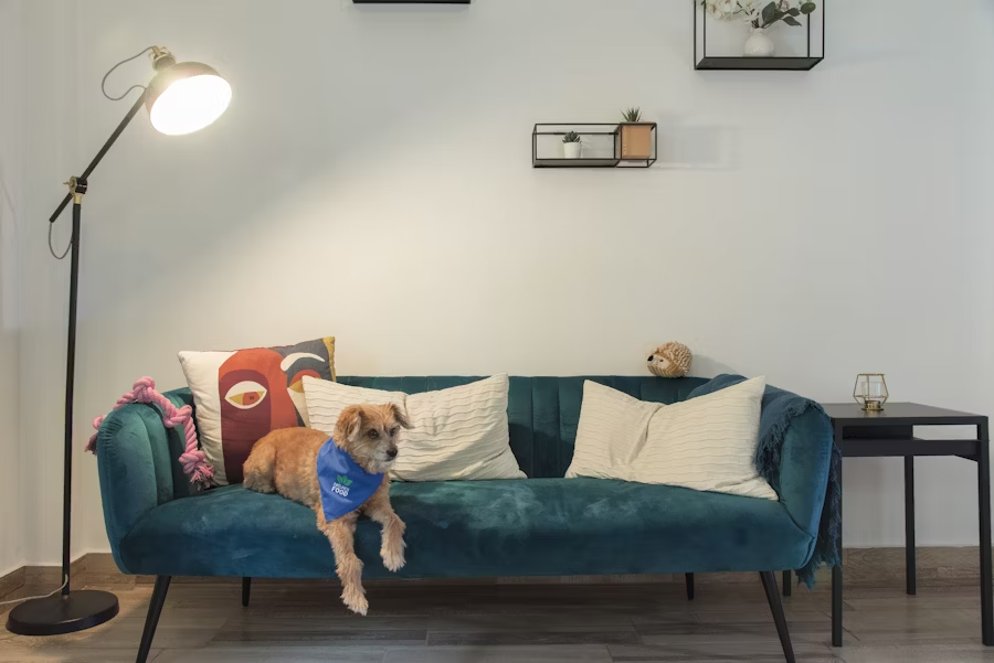 Creating Multi-Functional Spaces