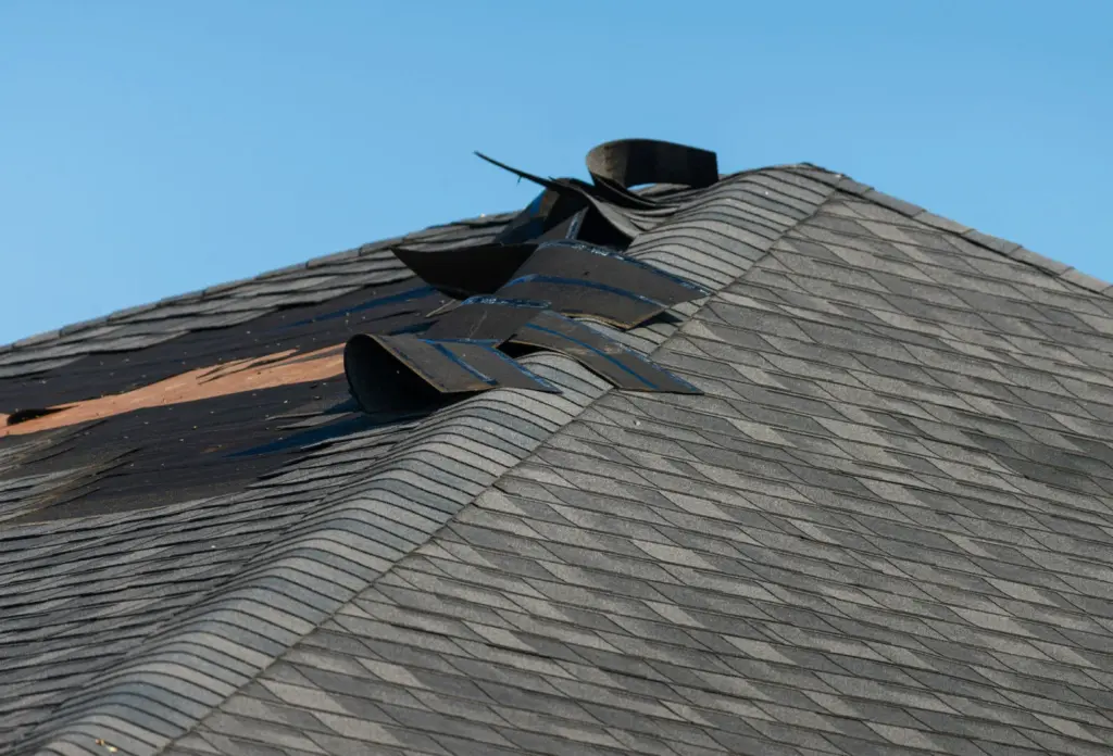 What Happens When You Ignore That Leak? A Timeline of Roof Damage