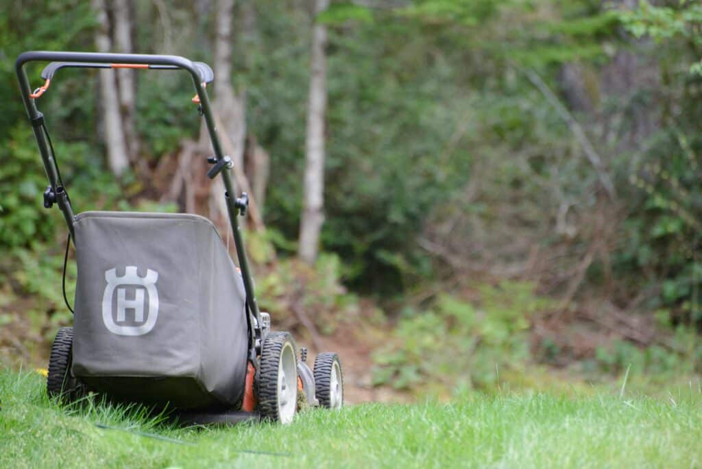 How to Choose the Best Push Leaf Collector for a Large Lawn