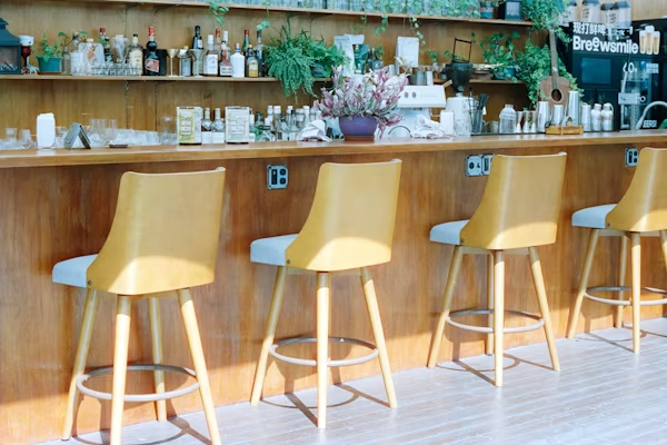 Bentwood Furniture: Timeless Design with Modern Appeal