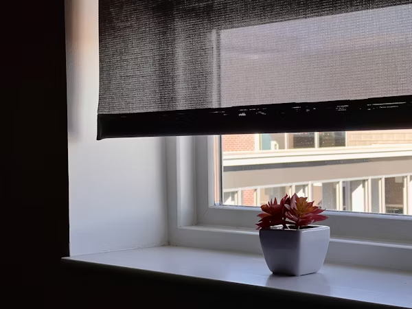 Window Treatments and Light Management